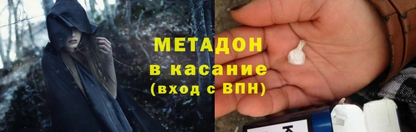 прущие грибы Балахна