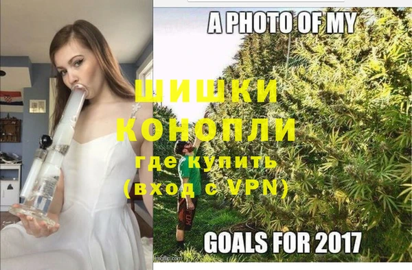 прущие грибы Балахна